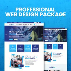 Professional Web Design Package